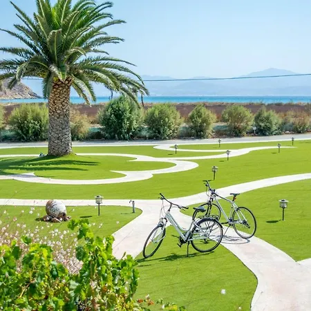 Anemones & - Onar Collection