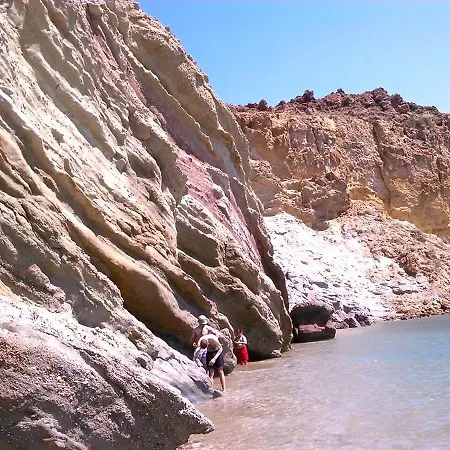 Anemones & - Onar Collection