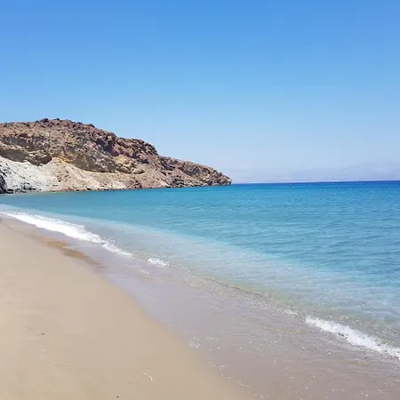 Anemones & - Onar Collection Molos (Paros)