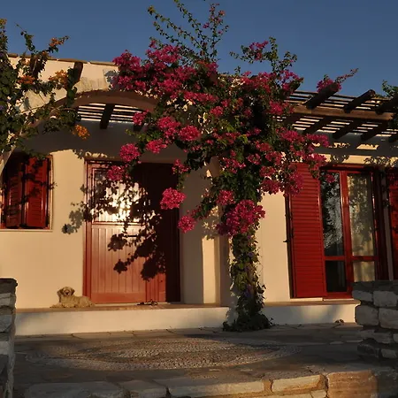 Anemones Studios&suites - Onar Collection 4*