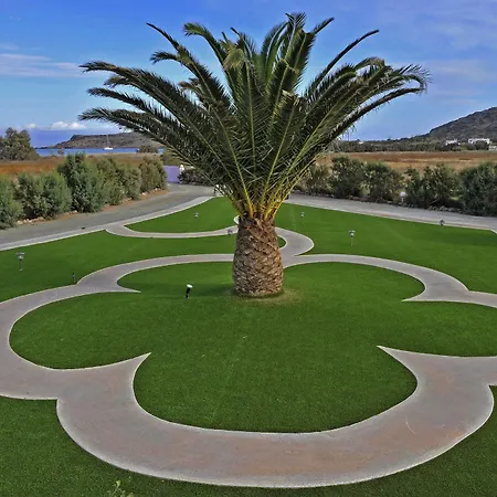 Anemones & - Onar Collection