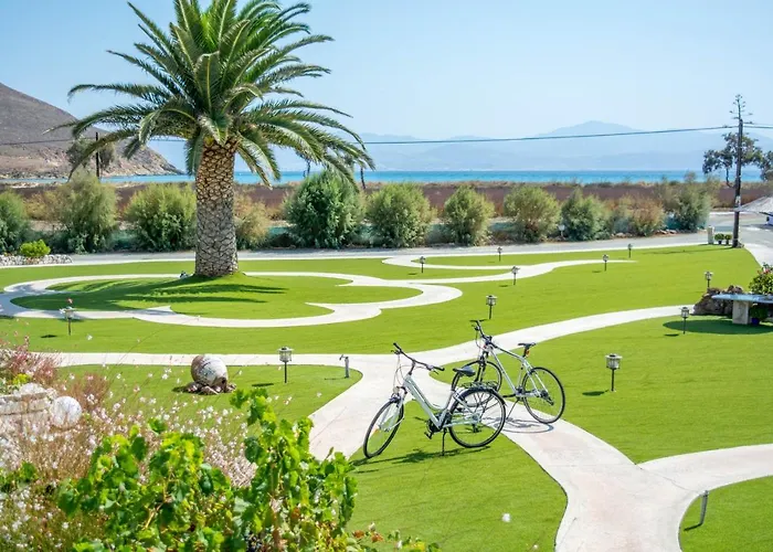 Anemones & - Onar Collection