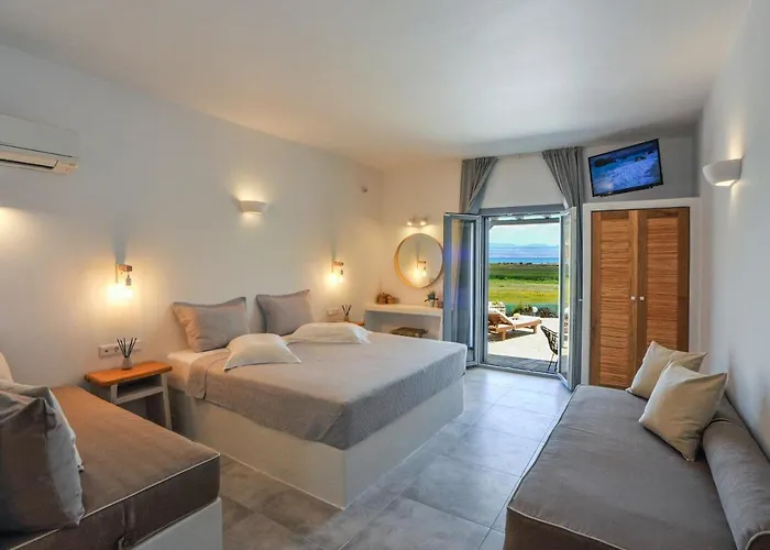 Anemones & - Onar Collection