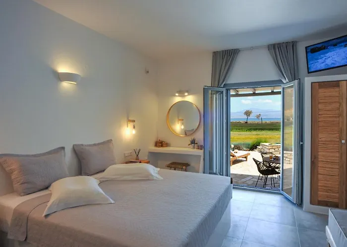 Anemones & - Onar Collection