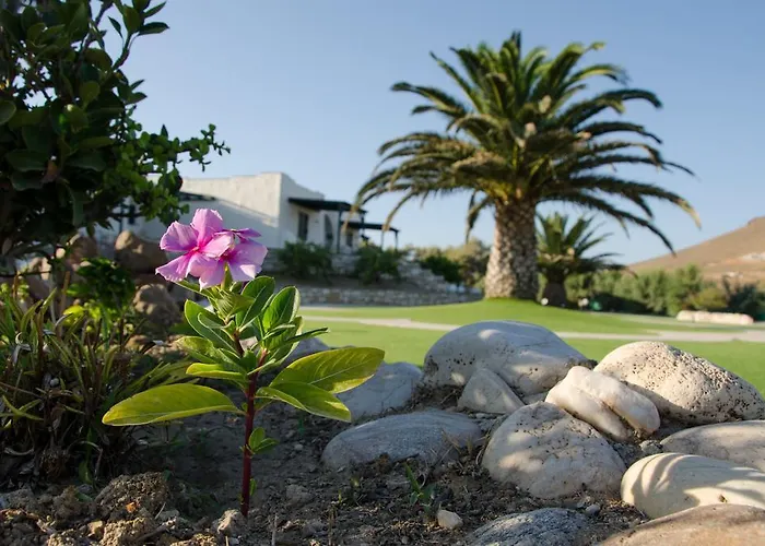 Apartmanhotel Anemones & - Onar Collection