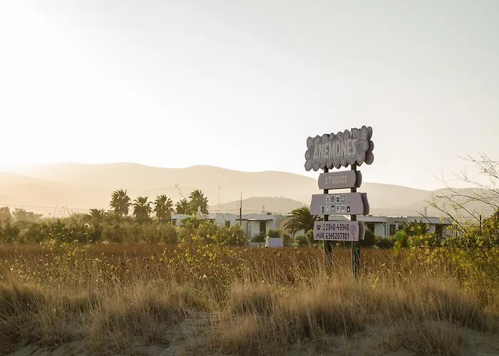 Anemones & - Onar Collection