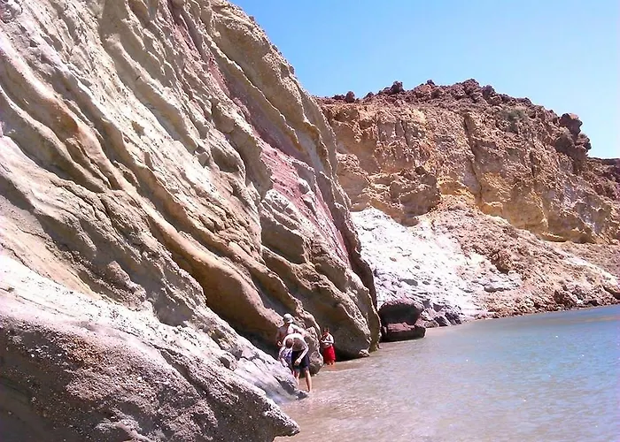 Anemones & - Onar Collection