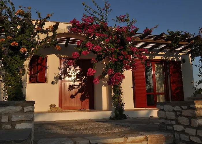 Anemones & - Onar Collection 4*