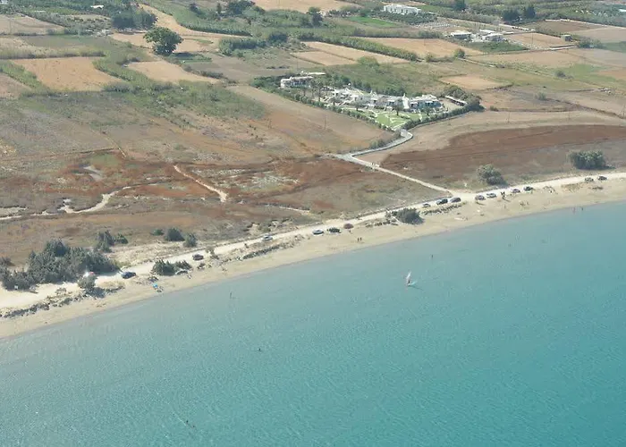 Anemones & - Onar Collection