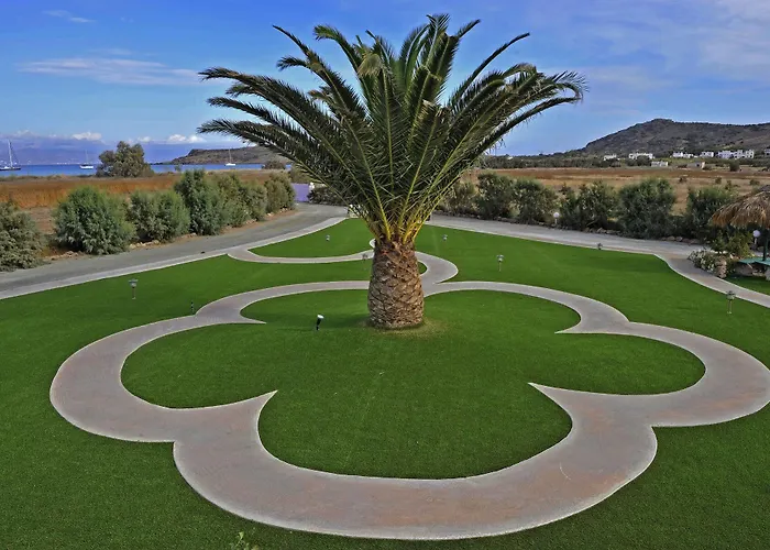 Anemones & - Onar Collection