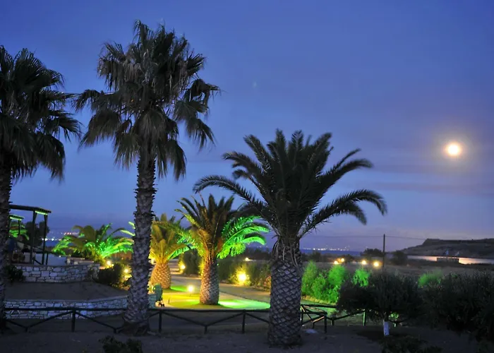 Anemones & - Onar Collection Mólosz Páru