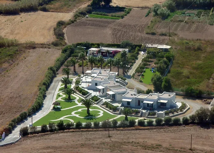 Anemones & - Onar Collection Mólosz Páru