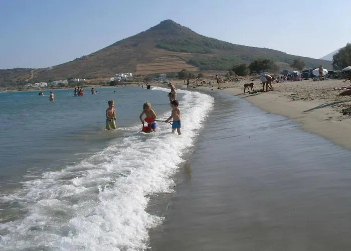 Anemones & - Onar Collection 4*