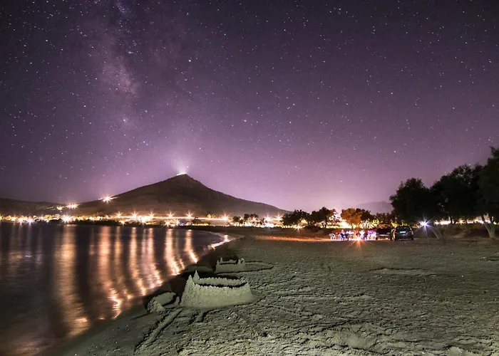 Anemones & - Onar Collection Mólosz Páru