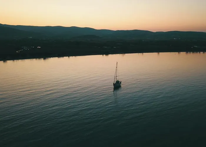 Anemones & - Onar Collection Mólosz Páru